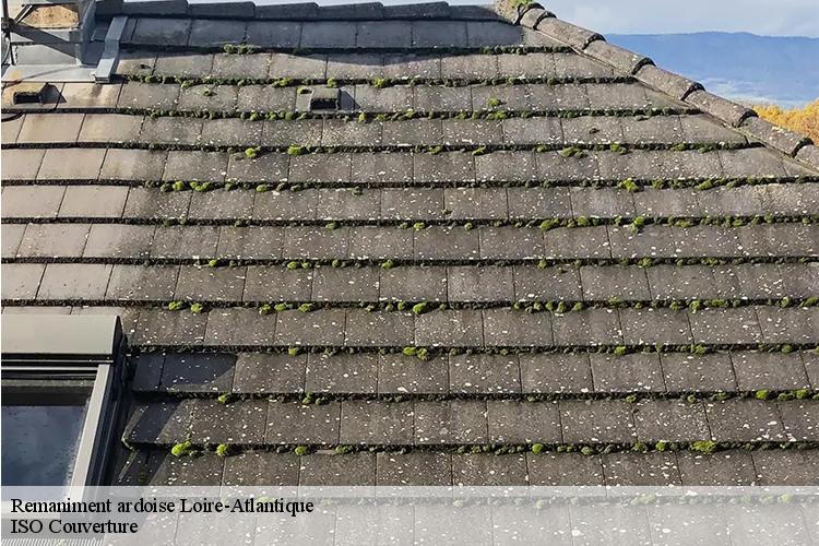 Remaniment ardoise 44 Loire-Atlantique Couvreur Naoned