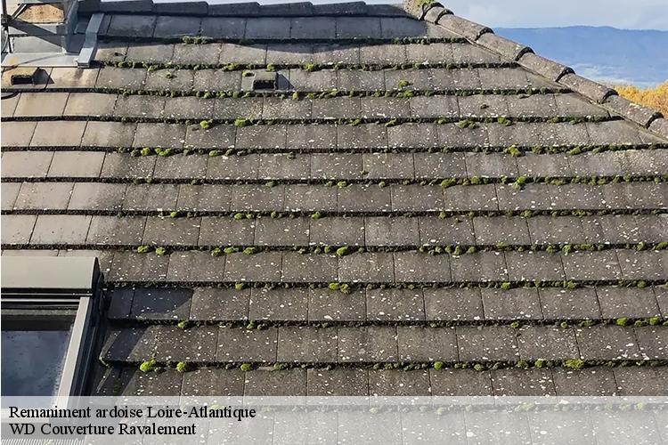 Remaniment ardoise 44 Loire-Atlantique  WD Couverture Ravalement