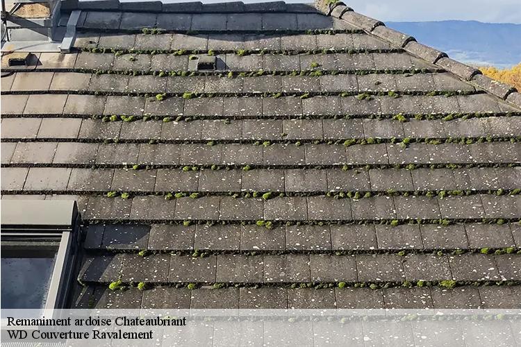Remaniment ardoise chateaubriant-44110 WD Couverture Ravalement
