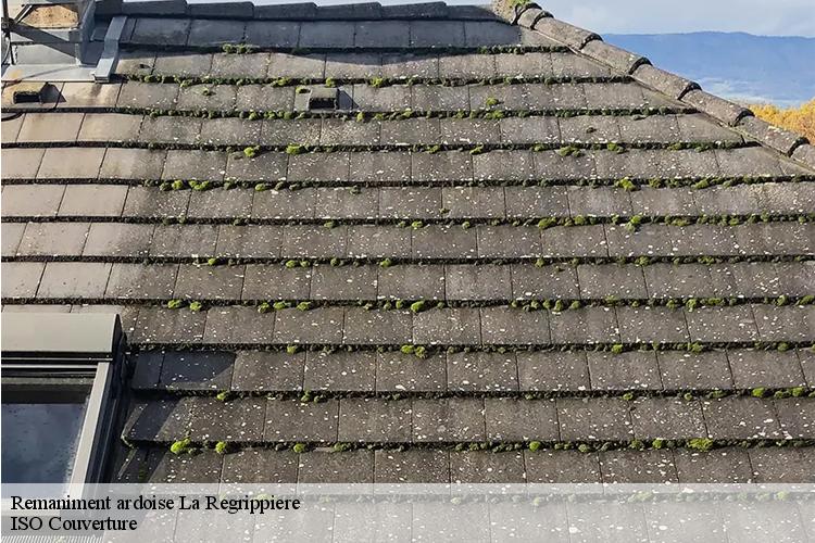 Remaniment ardoise la-regrippiere-44330 ISO Couverture