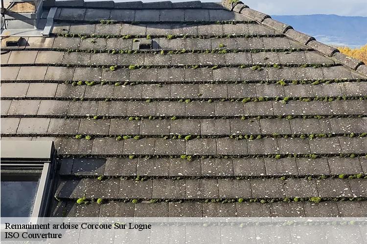 Remaniment ardoise corcoue-sur-logne-44650 ISO Couverture