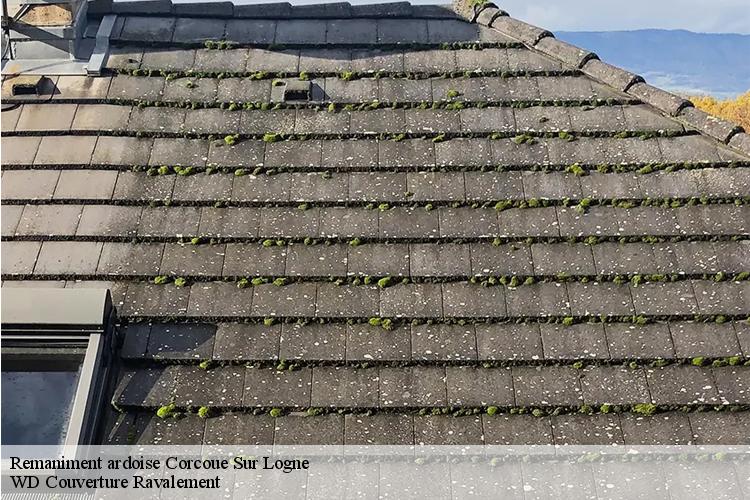 Remaniment ardoise corcoue-sur-logne-44650 WD Couverture Ravalement