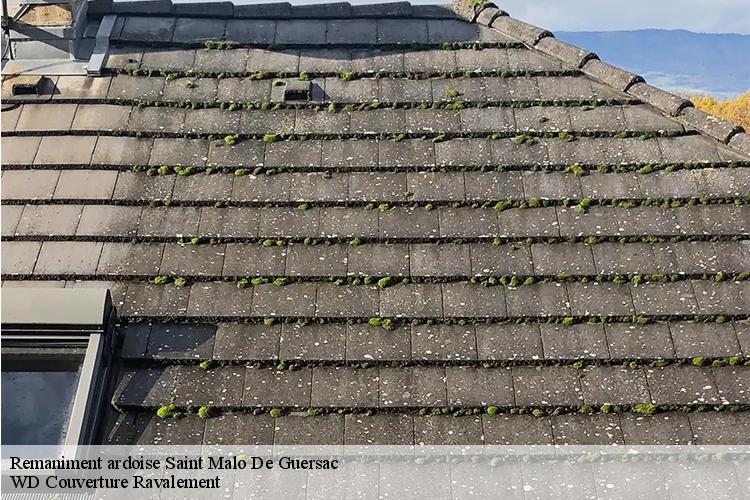 Remaniment ardoise saint-malo-de-guersac-44550 WD Couverture Ravalement