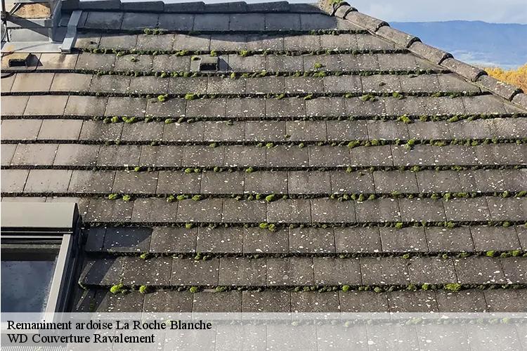 Remaniment ardoise la-roche-blanche-44522 WD Couverture Ravalement