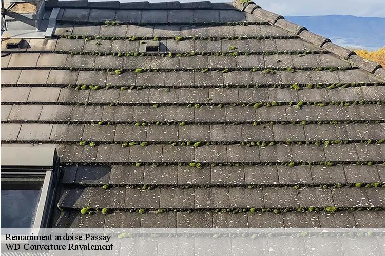 Remaniment ardoise passay-44118 WD Couverture Ravalement