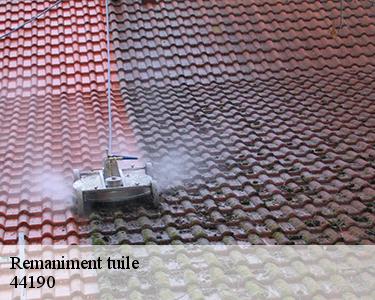 Remaniment tuile 44190