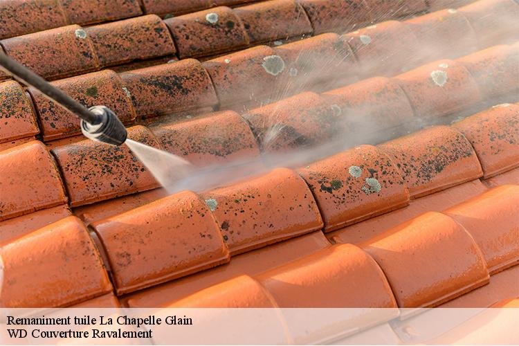 Remaniment tuile  la-chapelle-glain-44670 WD Couverture Ravalement