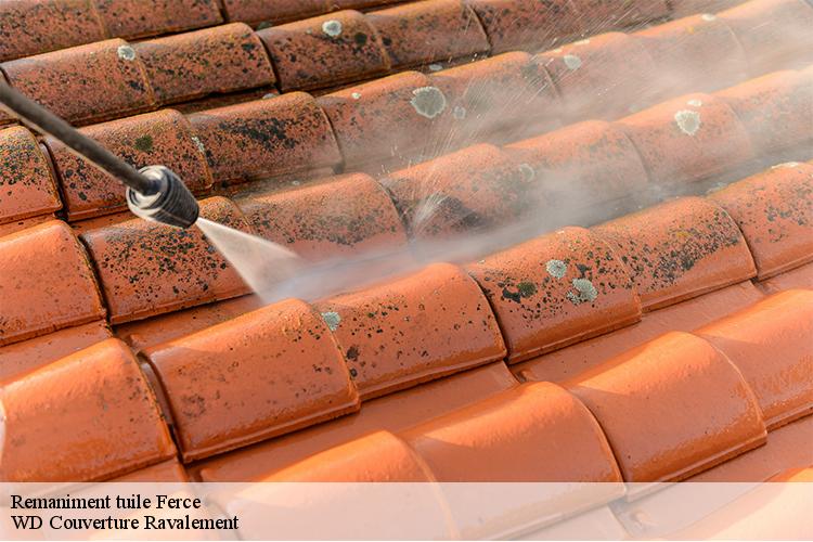 Remaniment tuile  ferce-44660 WD Couverture Ravalement