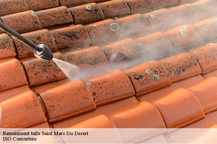 Remaniment tuile saint-mars-du-desert-44850 LM Couverture