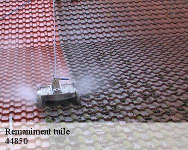 Remaniment tuile 44850