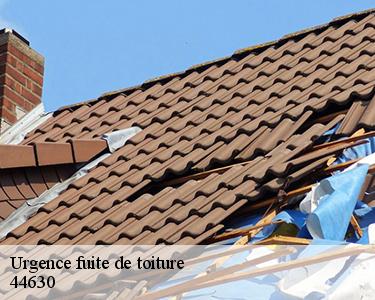 Urgence fuite de toiture 44630