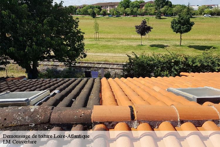 Demoussage de toiture 44 Loire-Atlantique  Couvreur Naoned 