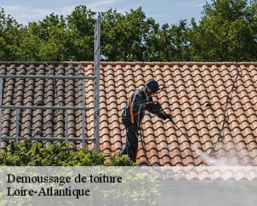 Demoussage de toiture Loire-Atlantique