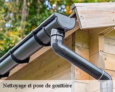 Nettoyage et pose de gouttière