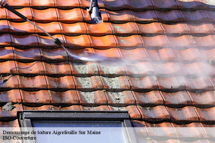 Demoussage de toiture aigrefeuille-sur-maine-44140 Vertical Couverture