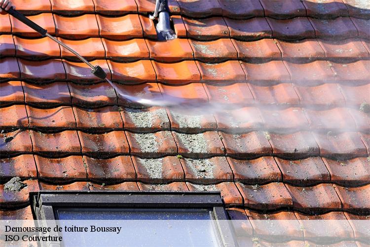 Demoussage de toiture boussay-44190 LM Couverture