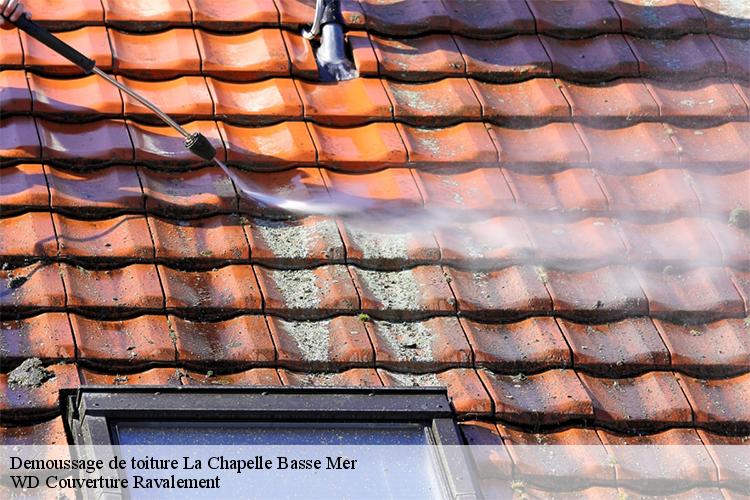 Demoussage de toiture  la-chapelle-basse-mer-44450 WD Couverture Ravalement
