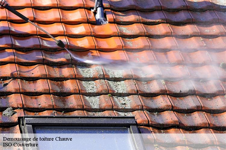 Demoussage de toiture chauve-44320 Couvreur Naoned