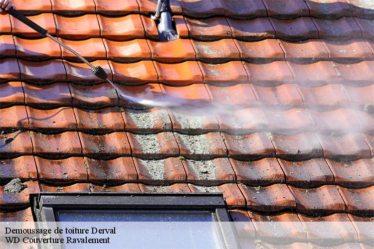 Demoussage de toiture derval-44590 WD Couverture Ravalement