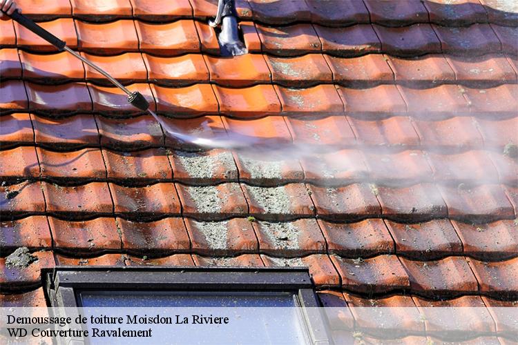 Demoussage de toiture  moisdon-la-riviere-44520 WD Couverture Ravalement