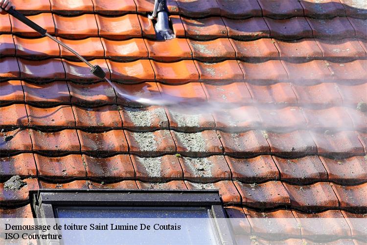 Demoussage de toiture saint-lumine-de-coutais-44310 Pro couverture 44