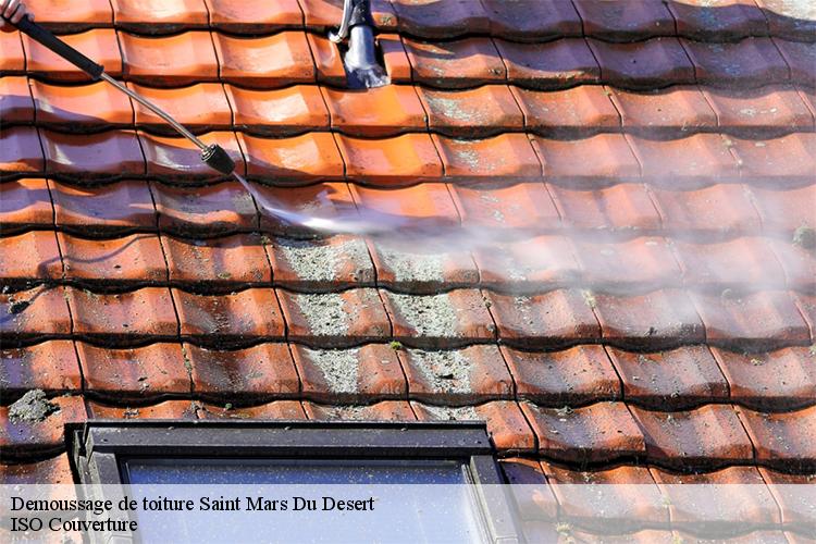 Demoussage de toiture saint-mars-du-desert-44850 LM Couverture