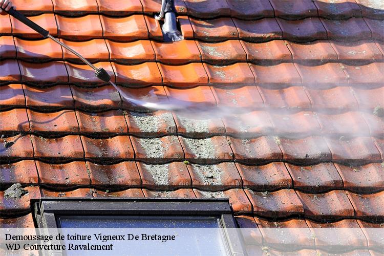 Demoussage de toiture  vigneux-de-bretagne-44360 WD Couverture Ravalement