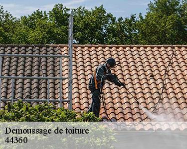 Demoussage de toiture 44360