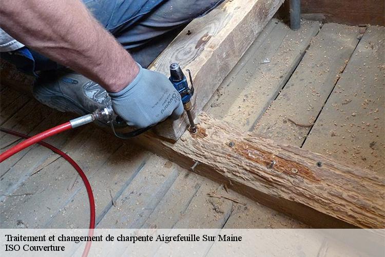 Traitement et changement de charpente  aigrefeuille-sur-maine-44140 LM Couverture