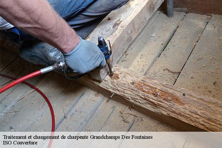 Traitement et changement de charpente  grandchamps-des-fontaines-44119 LM Couverture