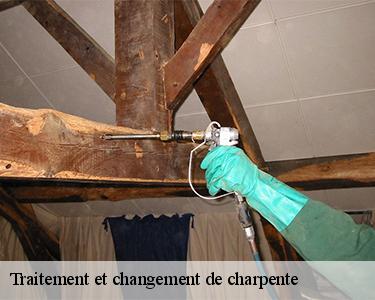 Traitement et changement de charpente