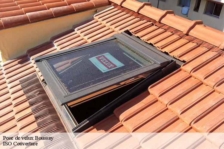 Pose de velux boussay-44190 LM Couverture