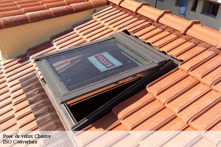 Pose de velux chauve-44320 Couvreur Naoned