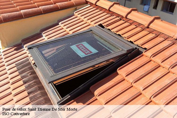 Pose de velux saint-etienne-de-mer-morte-44270 ISO Couverture